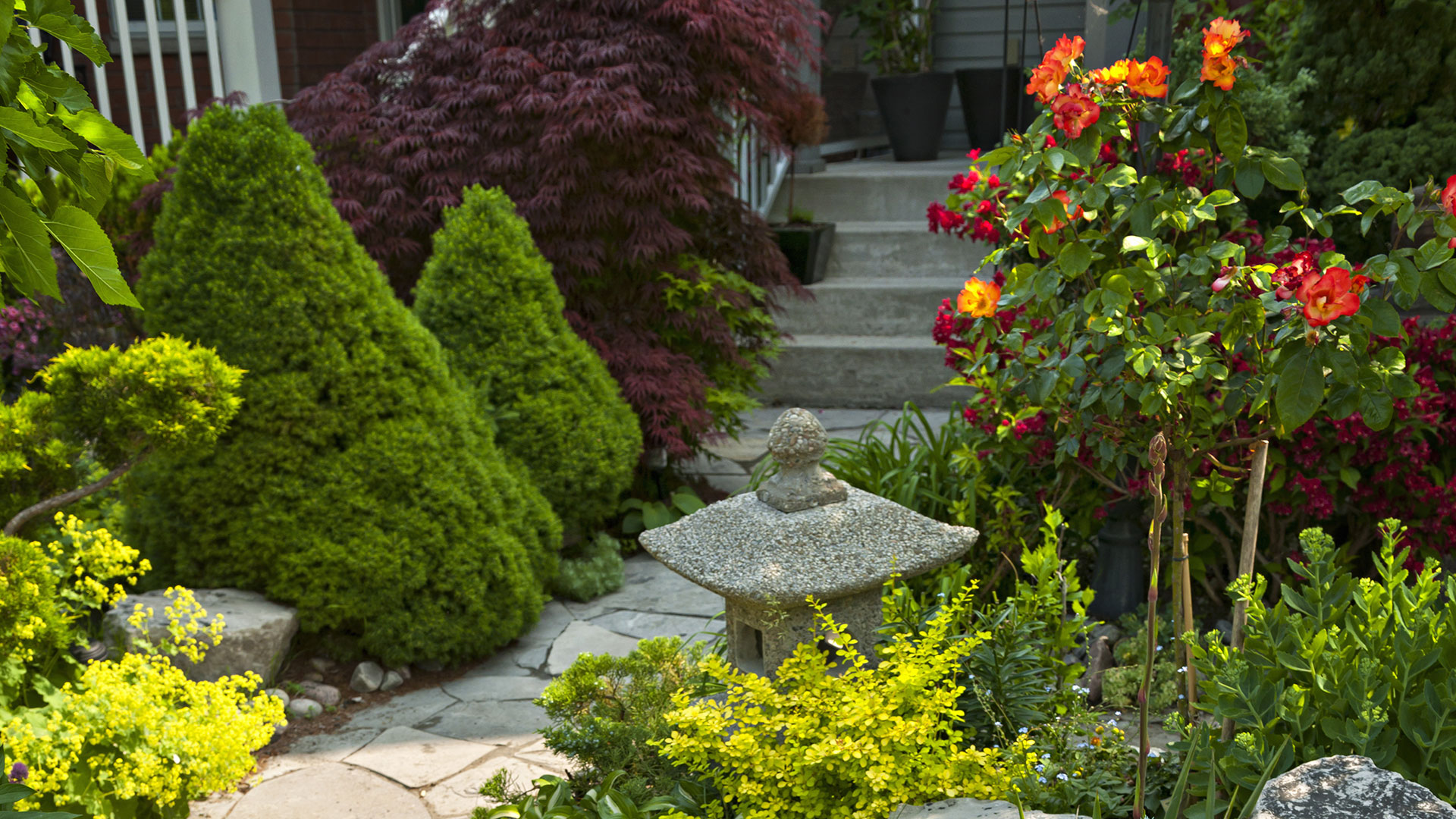 Fort Collins Landscaping Lawn Care, Landscaping Fort Collins